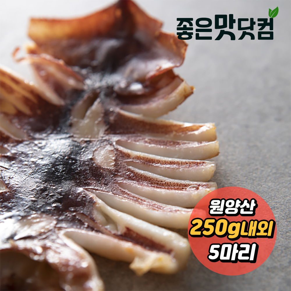 [청정바다] 국내산 반건조 오징어(5마리) (250g 내외)