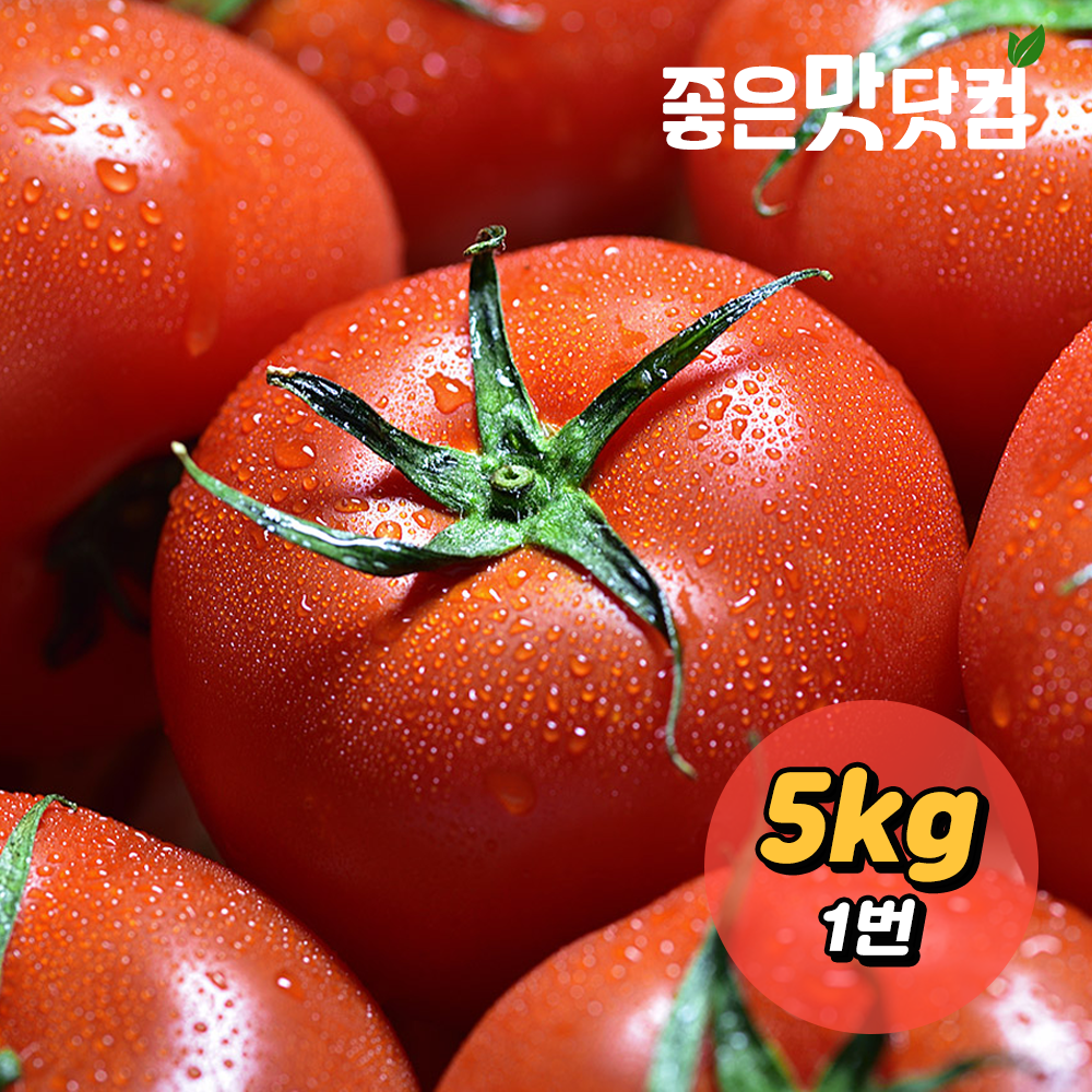 [초록자연] 완숙 토마토 5kg (1번)