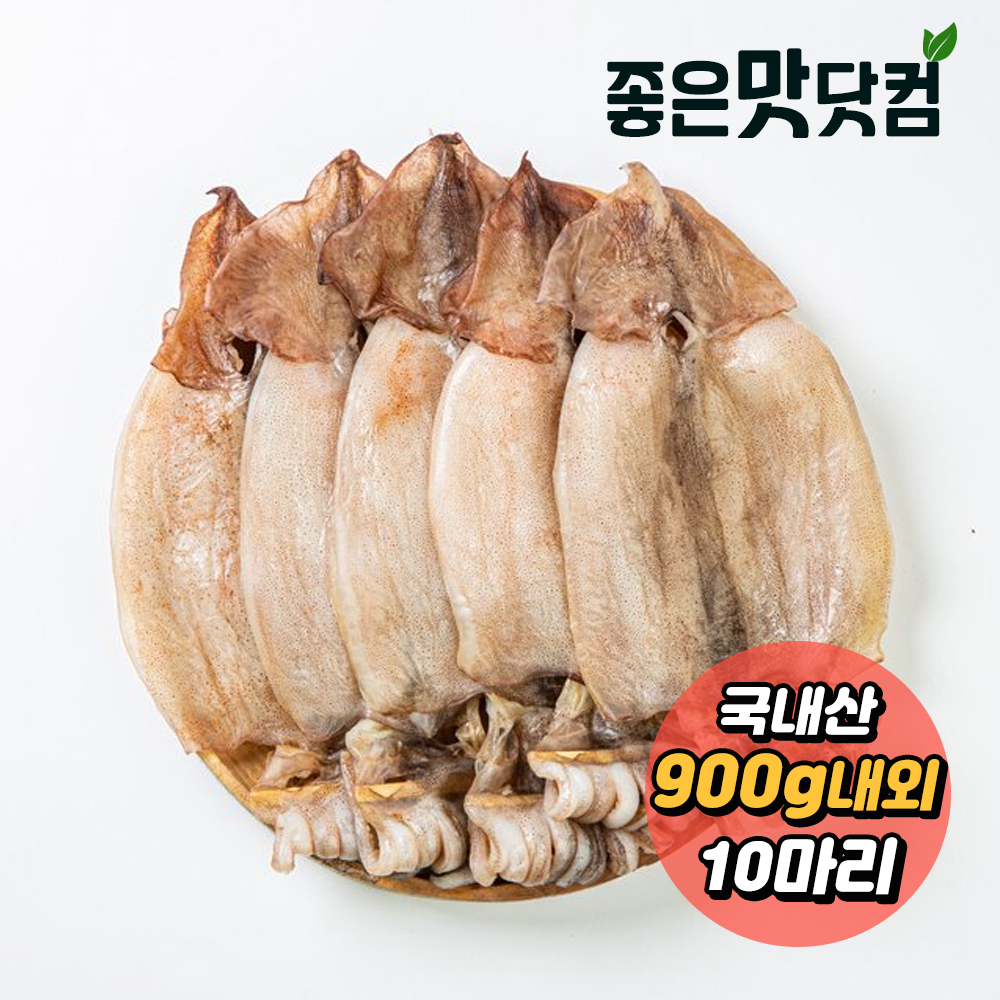 [청정바다] 국내산 반건조 오징어(10마리) (900g 내외)