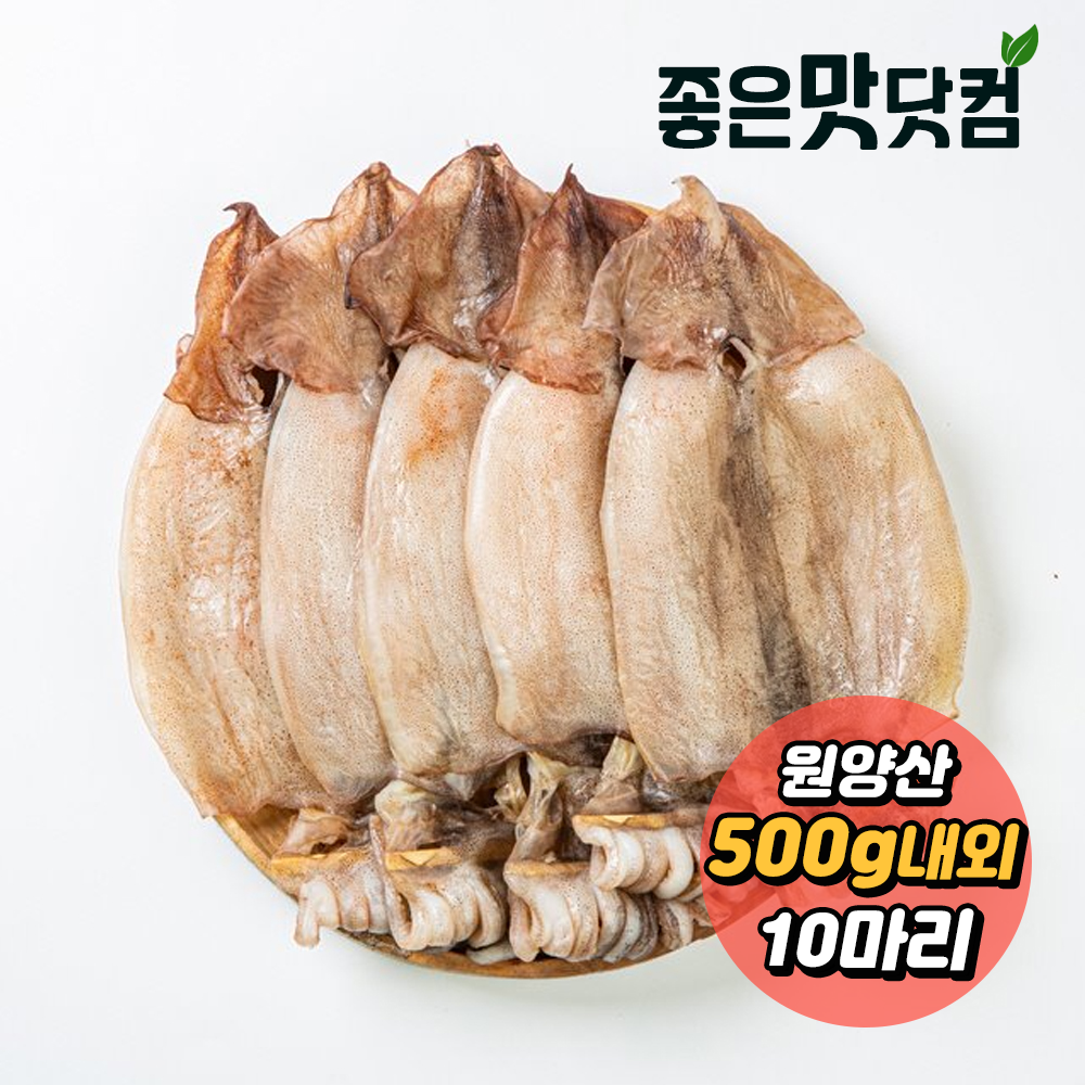 [청정바다] 원양산 반건조 오징어(10마리) (500g 내외)