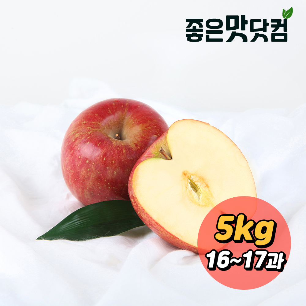 [초록자연] 청송 사과 5kg(16-17과)