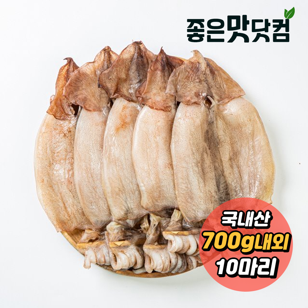 [청정바다] 국내산 반건조 오징어(10마리) (700g 내외)