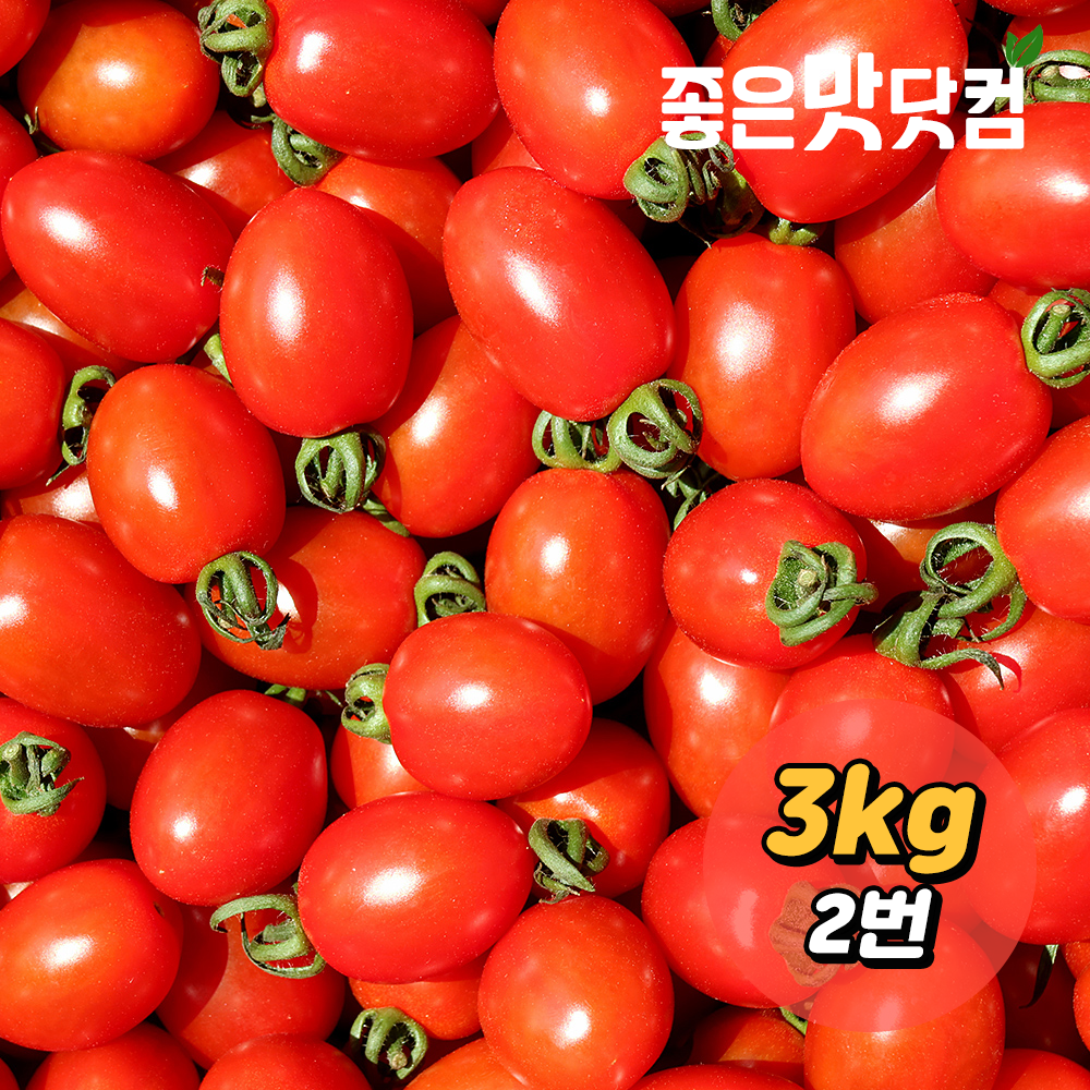 [초록자연] 대추 방울토마토 3kg (2번)