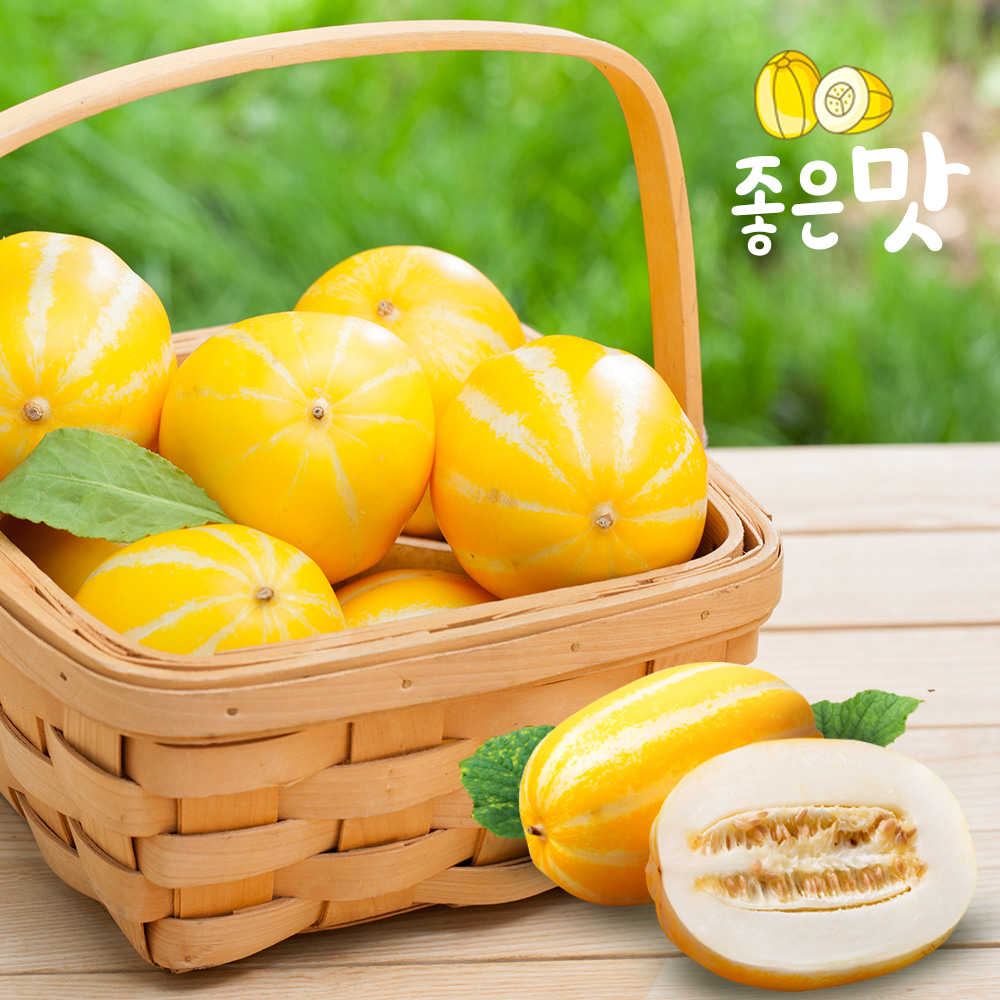 [가락마켓] 아삭달콤 성주 꿀참외 5kg (21-25과)